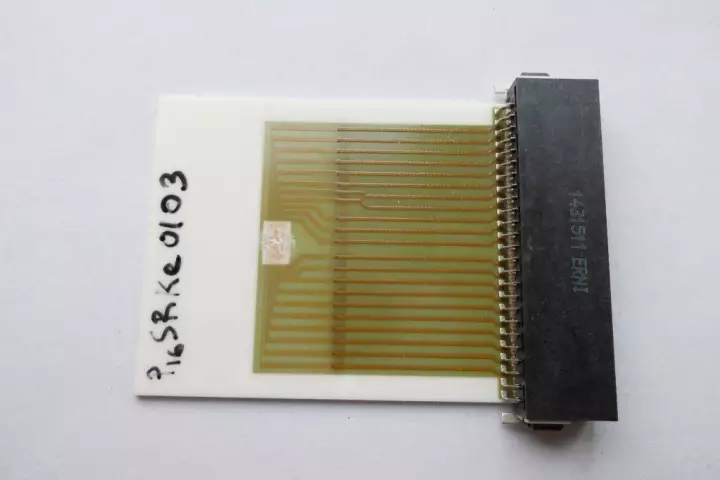 The prototype smelldect electronic nose sensor