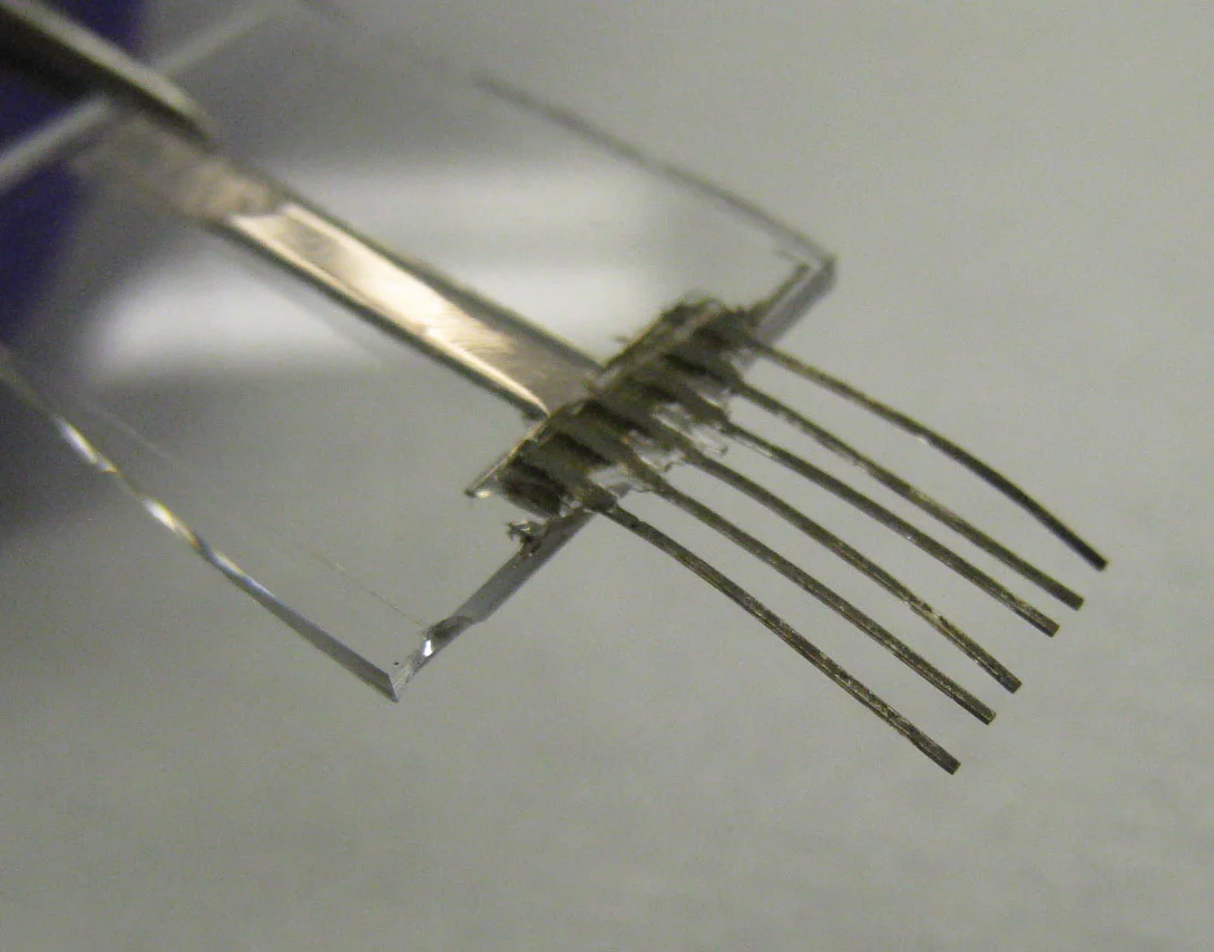 Scientists at Berkeley Lab and the University of California have created "e-whiskers" that mimic those of cats
