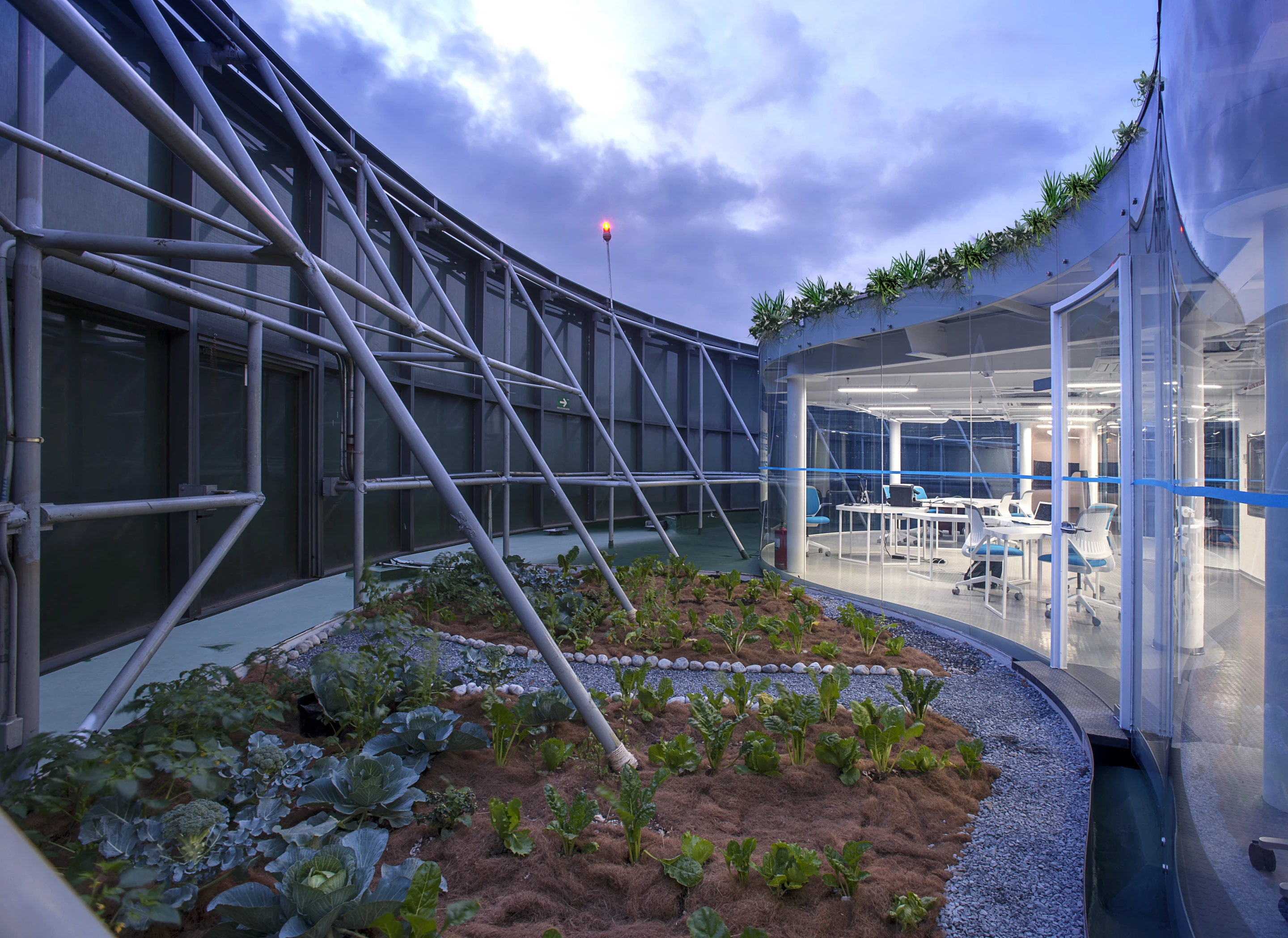 The new roof, re-named "Foro Ciel," is now covered in a variety of local vegetation, including some species of cactuses and a few small orchards (Credit: Jaime Navarro; Courtesy Rojkind Arquitectos)