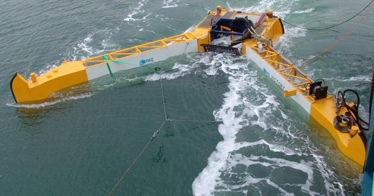 Finalists announced for Wendy Schmidt Oil Cleanup X CHALLENGE