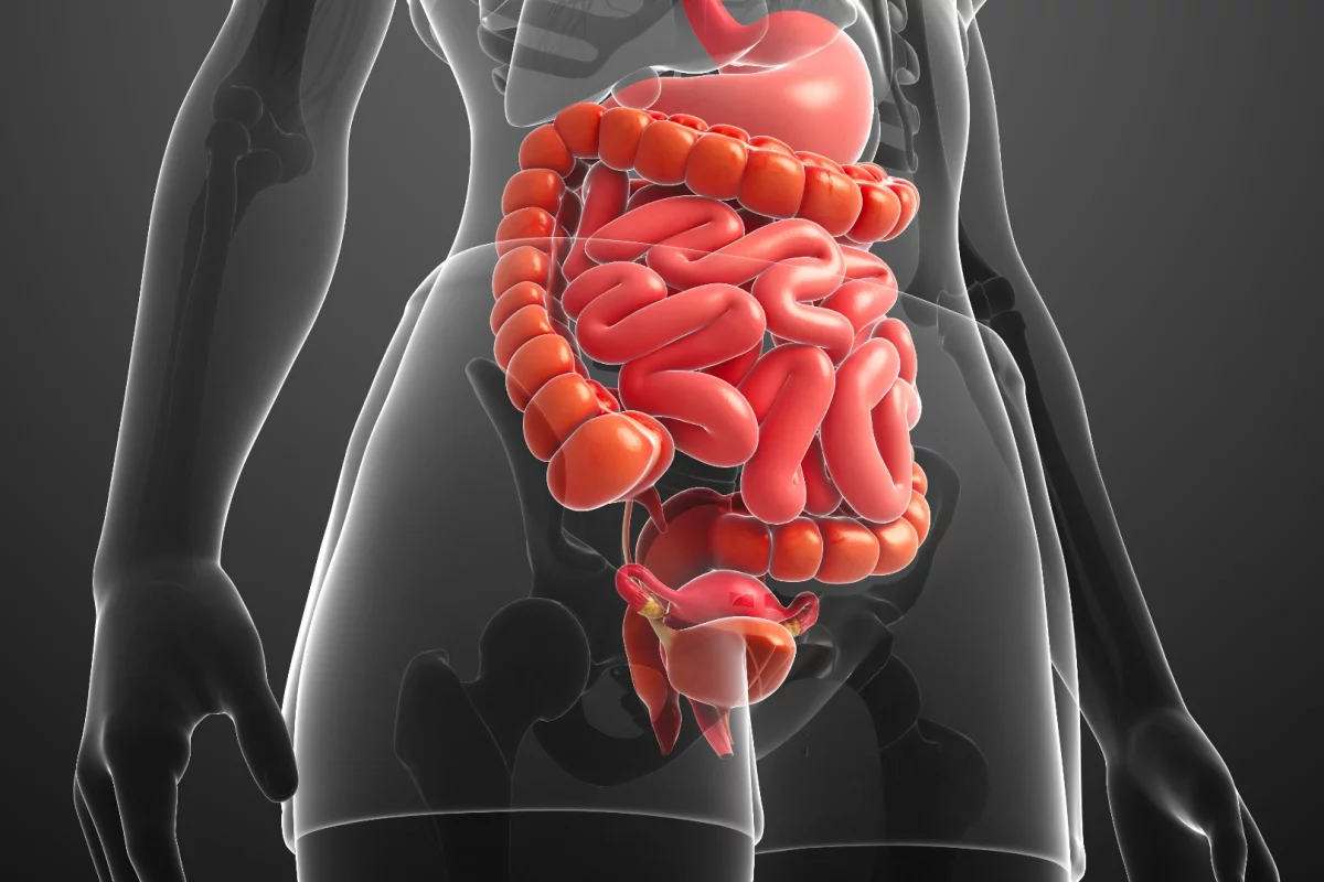 Could the key to helping autistic children lie in their gut?