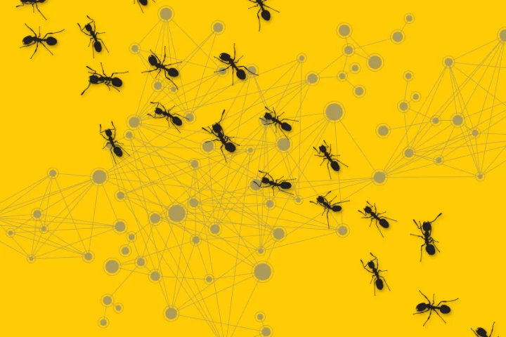 Ants inspire researchers once again