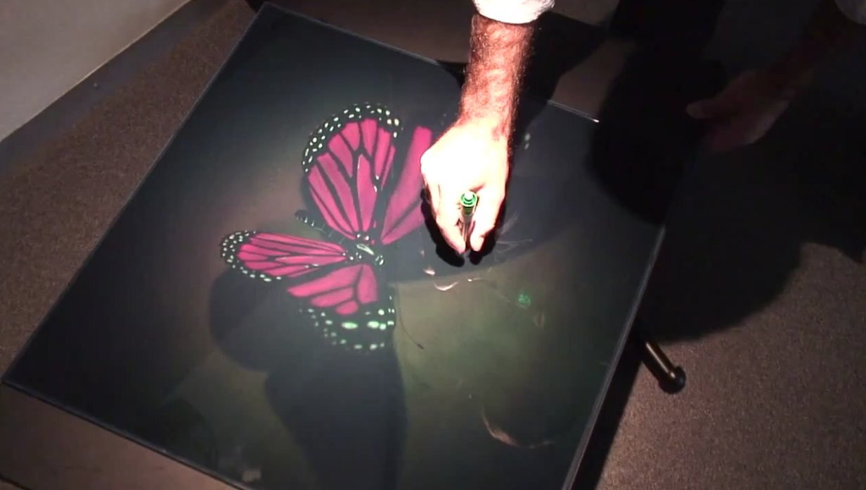 A real-life object is placed on top of a stunning 3D hologram of a butterfly