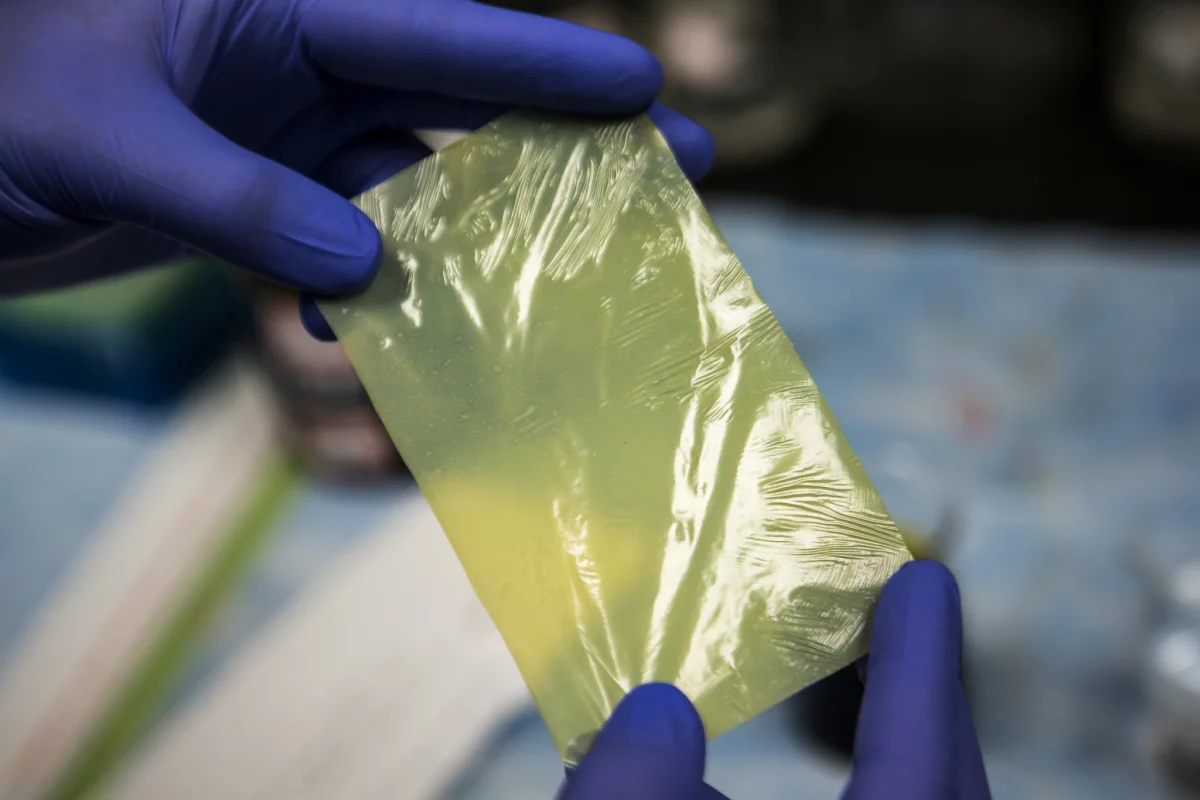 A sheet of the Kevlar nanofiber membrane (Photo: Joseph Xu, Michigan Engineering, Communications & Marketing)