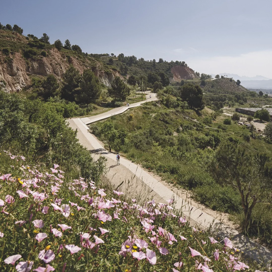 Landscape of the Year was awarded to Batlle i Roig Arquitectura for its Pedestrian Path along the Gypsum Mines project in Barcelona, Spain