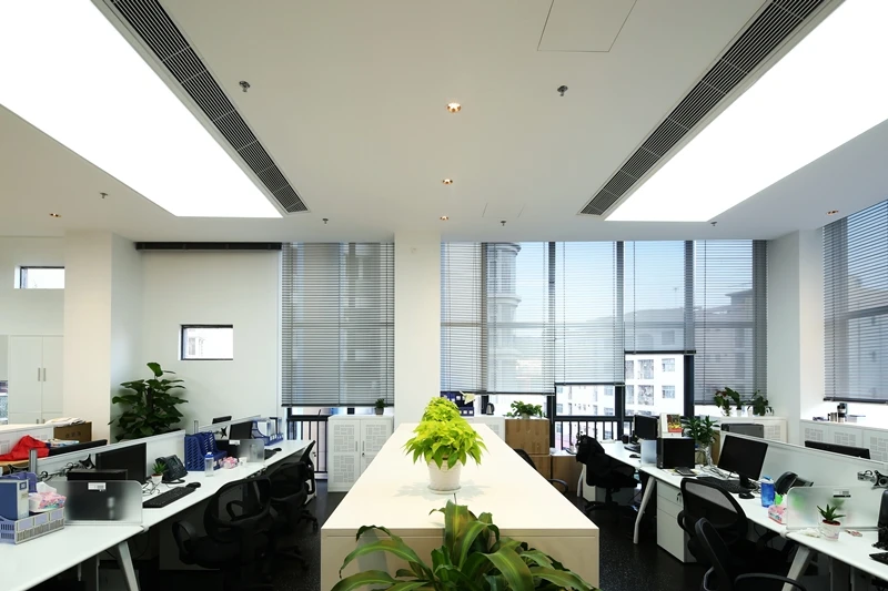 Plants can be unplugged from the system and placed on desks