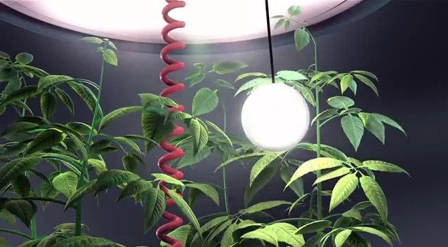 The Plantui Plantation smart garden allows user control over lighting and watering of their plants