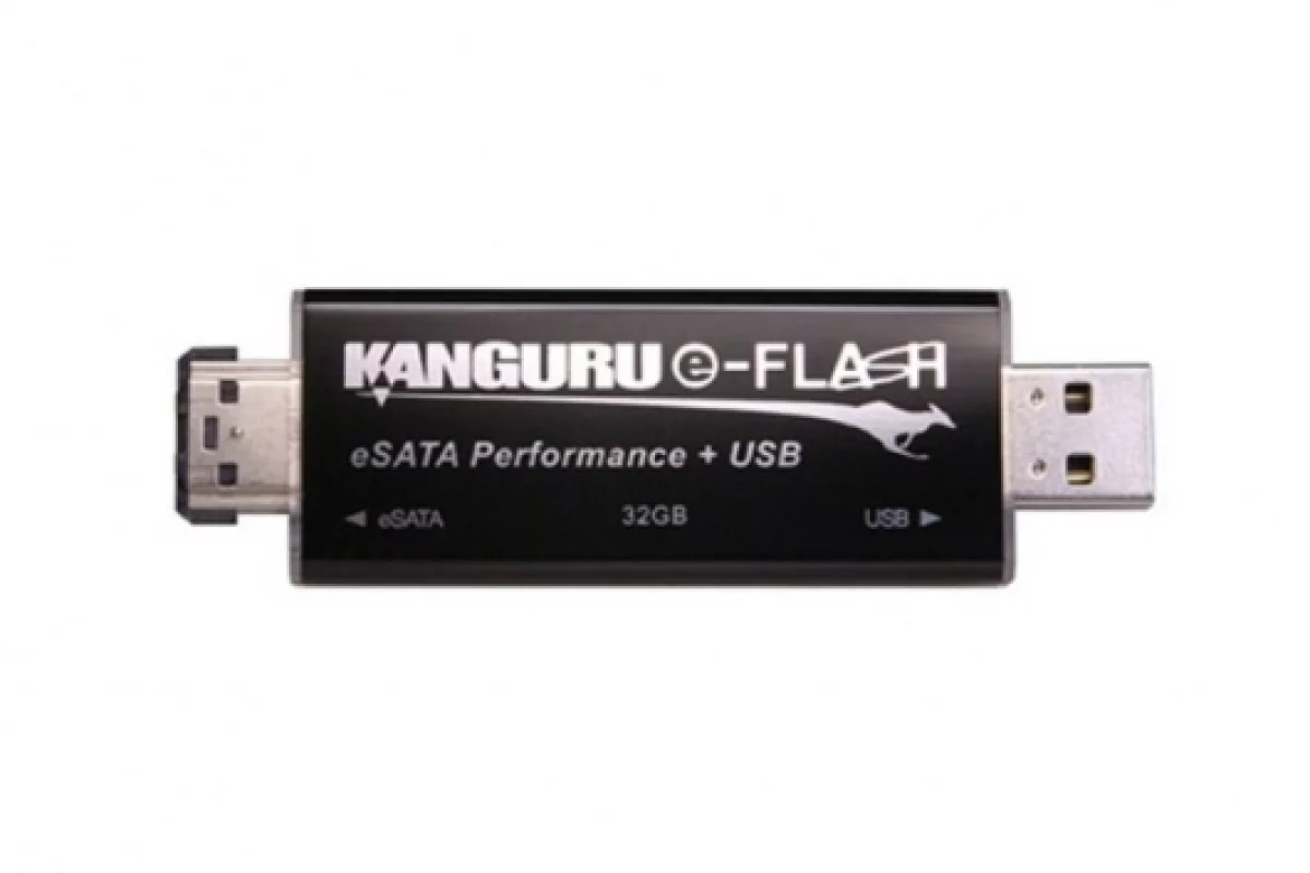 The Kanguru e-Flash drive.