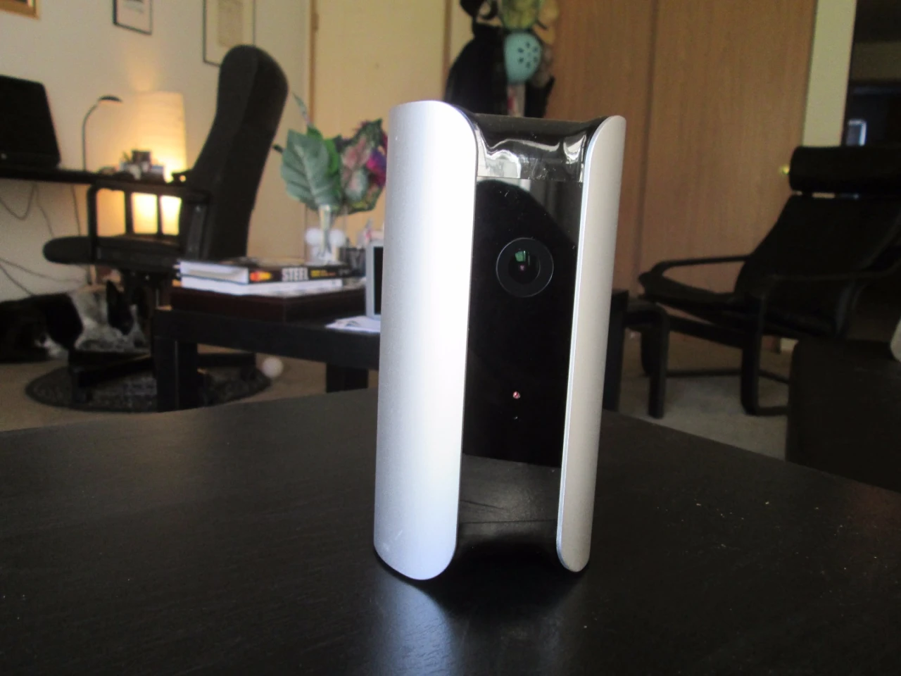 The Canary has a 3-axis accelerometer