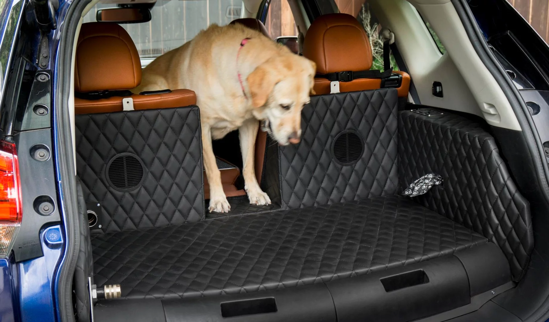 This special pet pass-through in the rear seats of the Rogue Dogue is particularly clever
