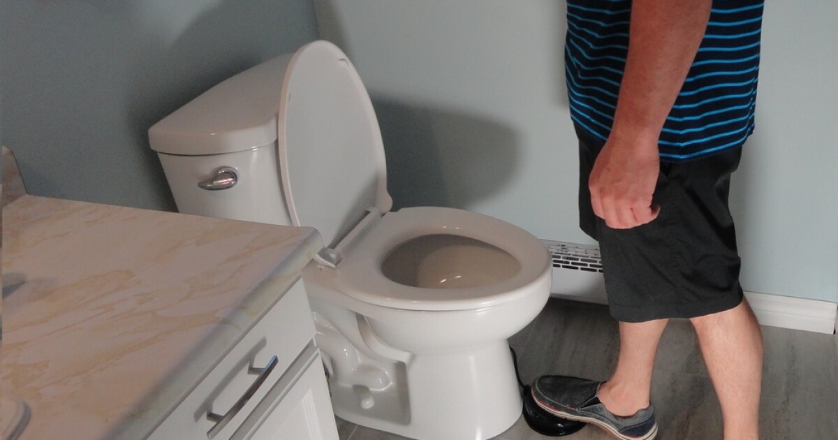 New gadget brings footflushing to home toilets