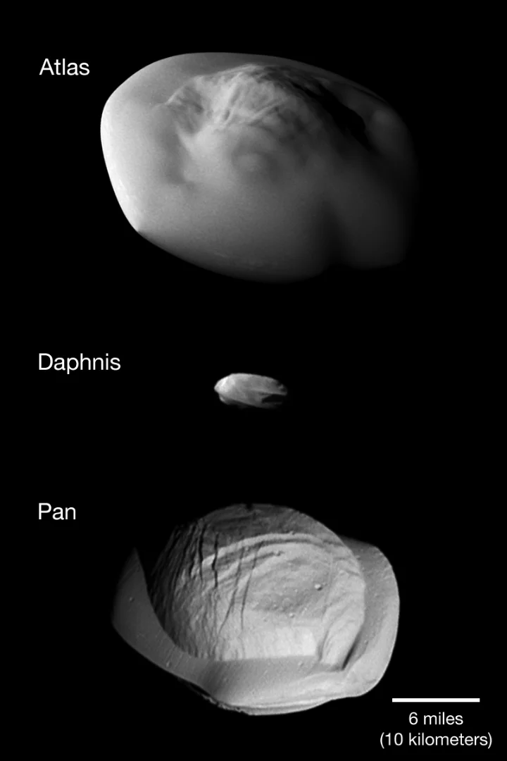 Images of Saturn's moons Atlas, Daphnis and Pan to scale, showing the extent of their strange bulging shapes