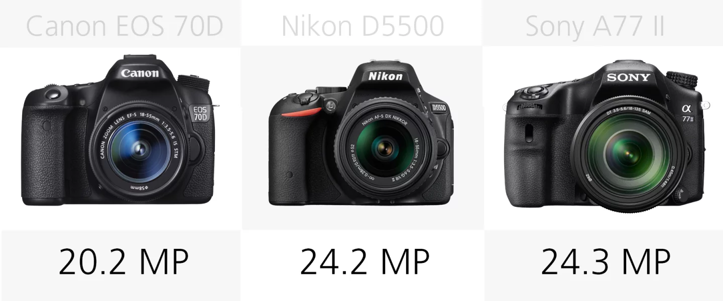 Megapixels comparison (Canon EOS 70D, Nikon D5500, Sony A77 II)