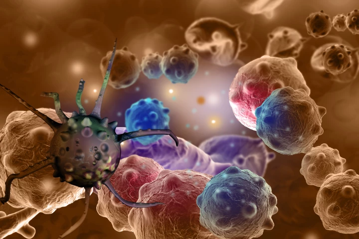 Scientists have found that a peptide found in the foot-and-mouth-disease virus can be combined with drugs to form a promising new therapy for pancreatic cancer