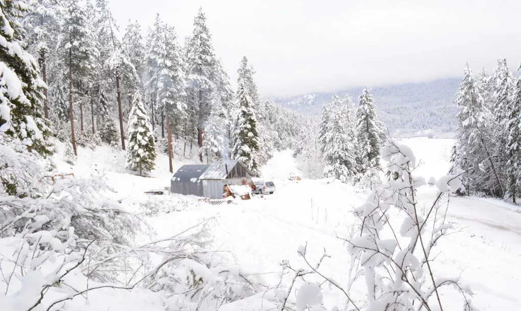 Alyssa and Jesse decided to ditch the trappings of modern life and move out into the wilds of the Pacific Northwest