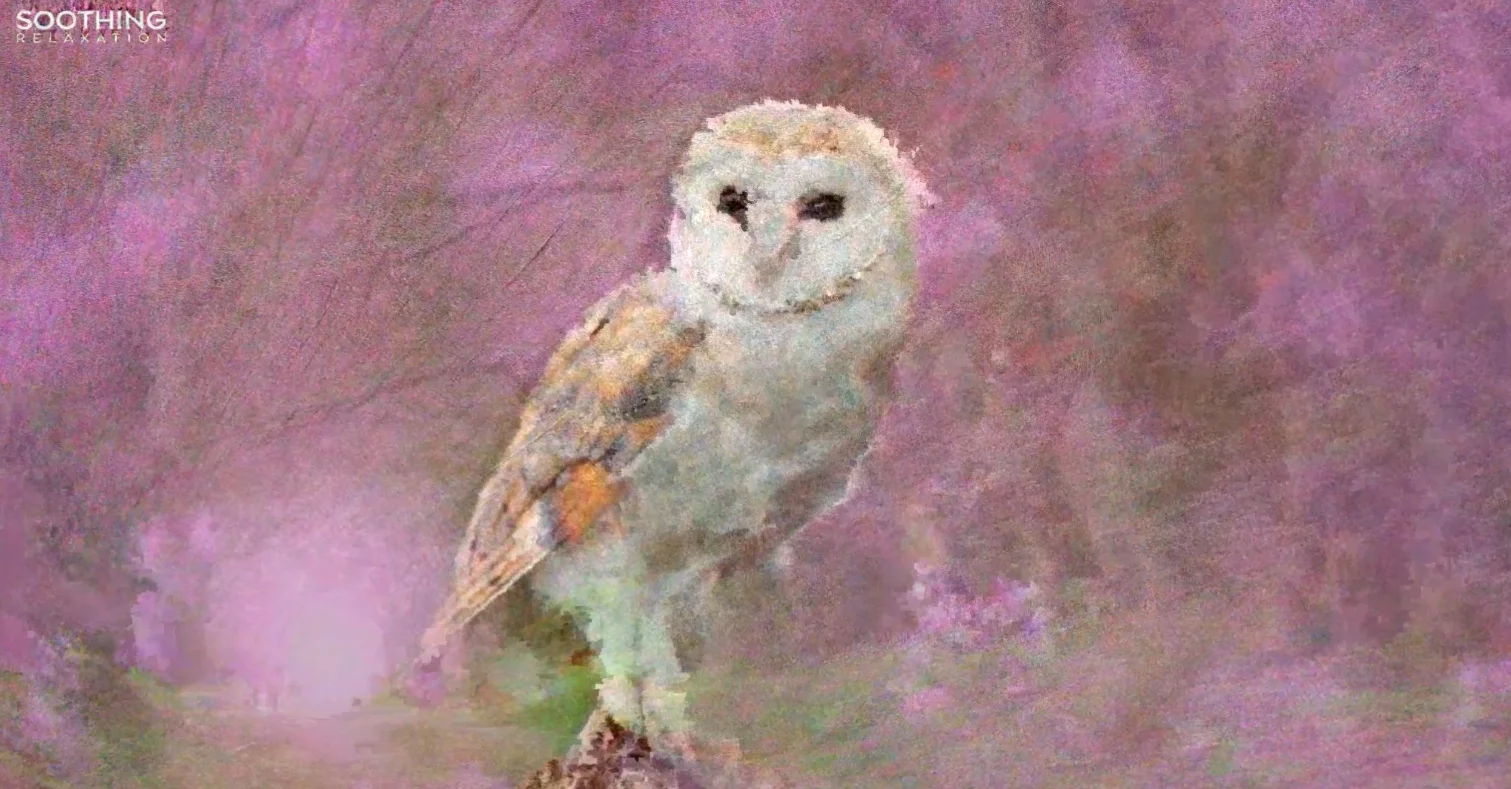 A selection of the best work by the bot youtube artifact from the past month