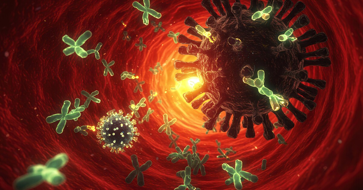 New therapy offers broad antiviral protection New therapy offers broad antiviral protection