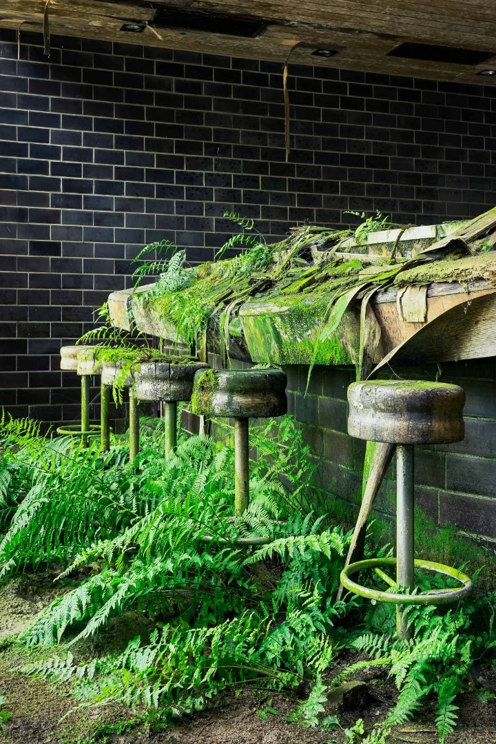 A closer look at the green mossy bar stools in an old boarding school