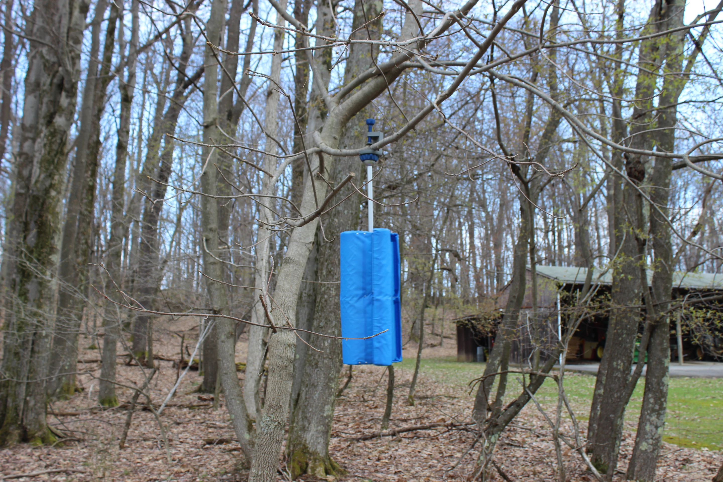 The Wisp is small and portable enough to fit easily into backpacks