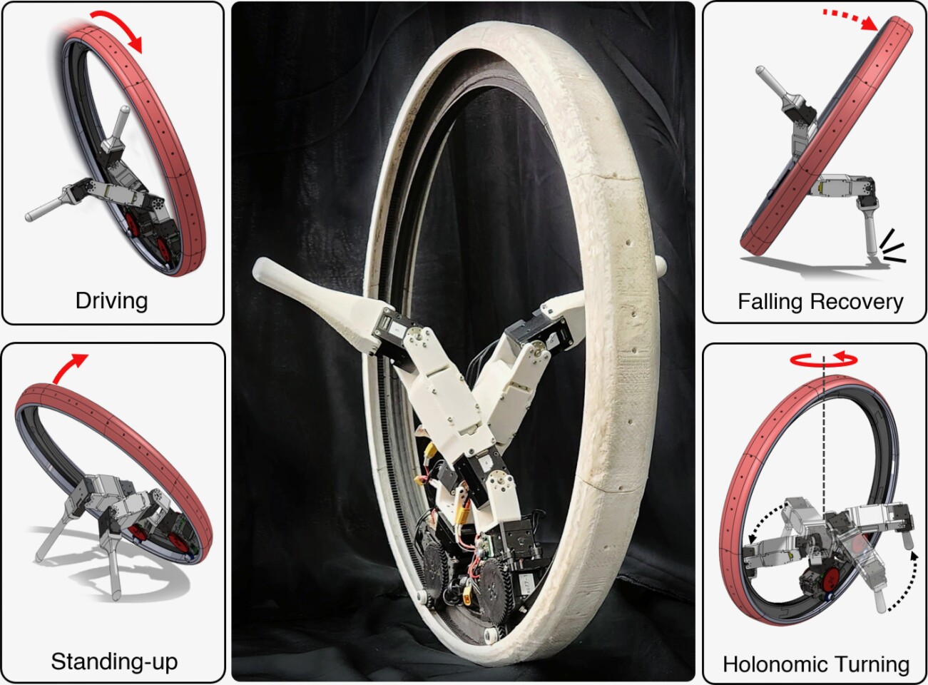 Examples of some of the Ringbot's capabilities