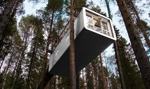 The Cabin