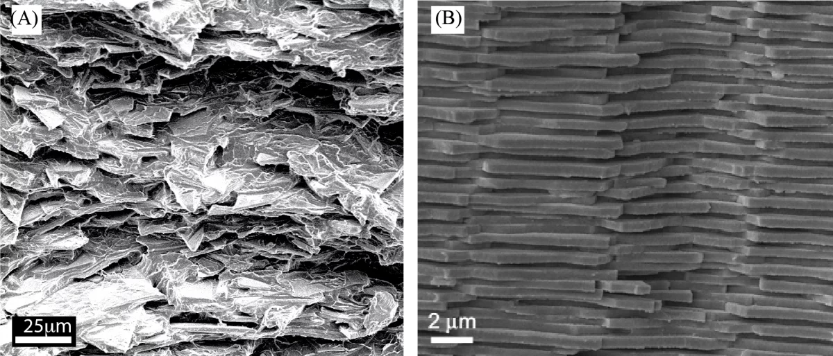 Microscopic images of the new glass composite's microstructure (left) and natural nacre (right)