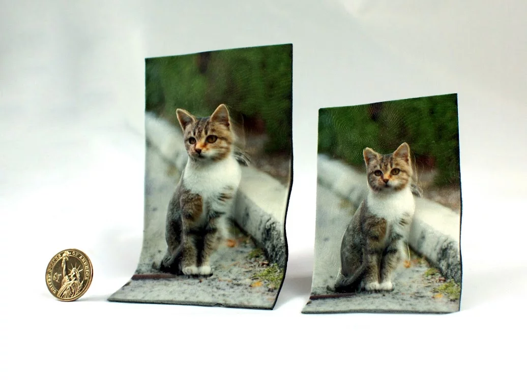 BumpyPhoto the family pet