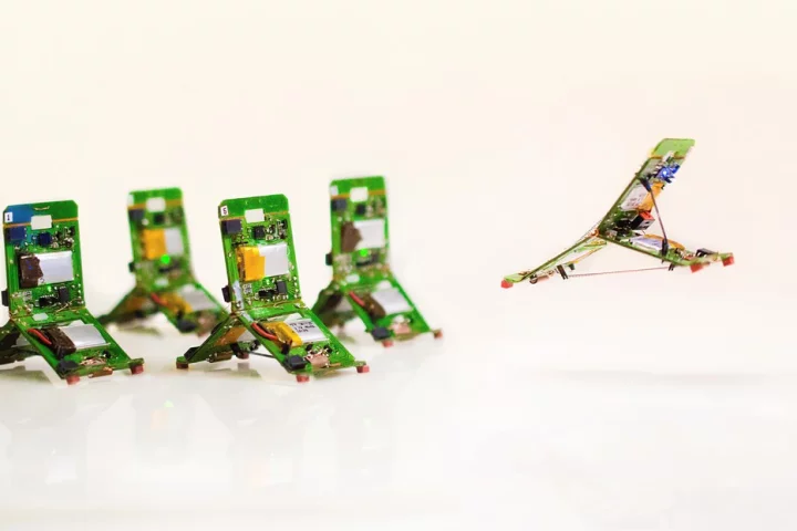The Tribots can be assigned specific roles similar to ants