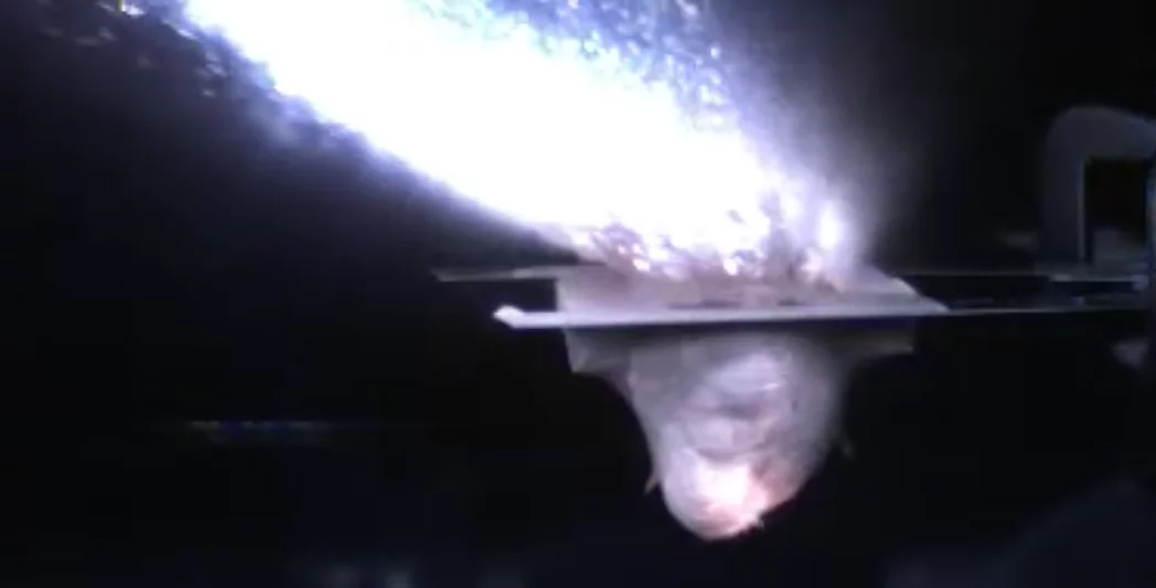A frame from the video of the Brown team's hypervelocity impact experiment, which found that water-rich asteroid collisions can transfer a surprising amount of water to a dry surface