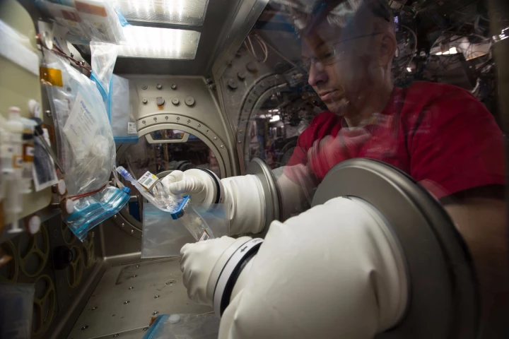 NASA astronaut Randy Bresnik works with the bioreactor bags containing lung tissue samples within the Microgravity Science Glovebox aboard the space station