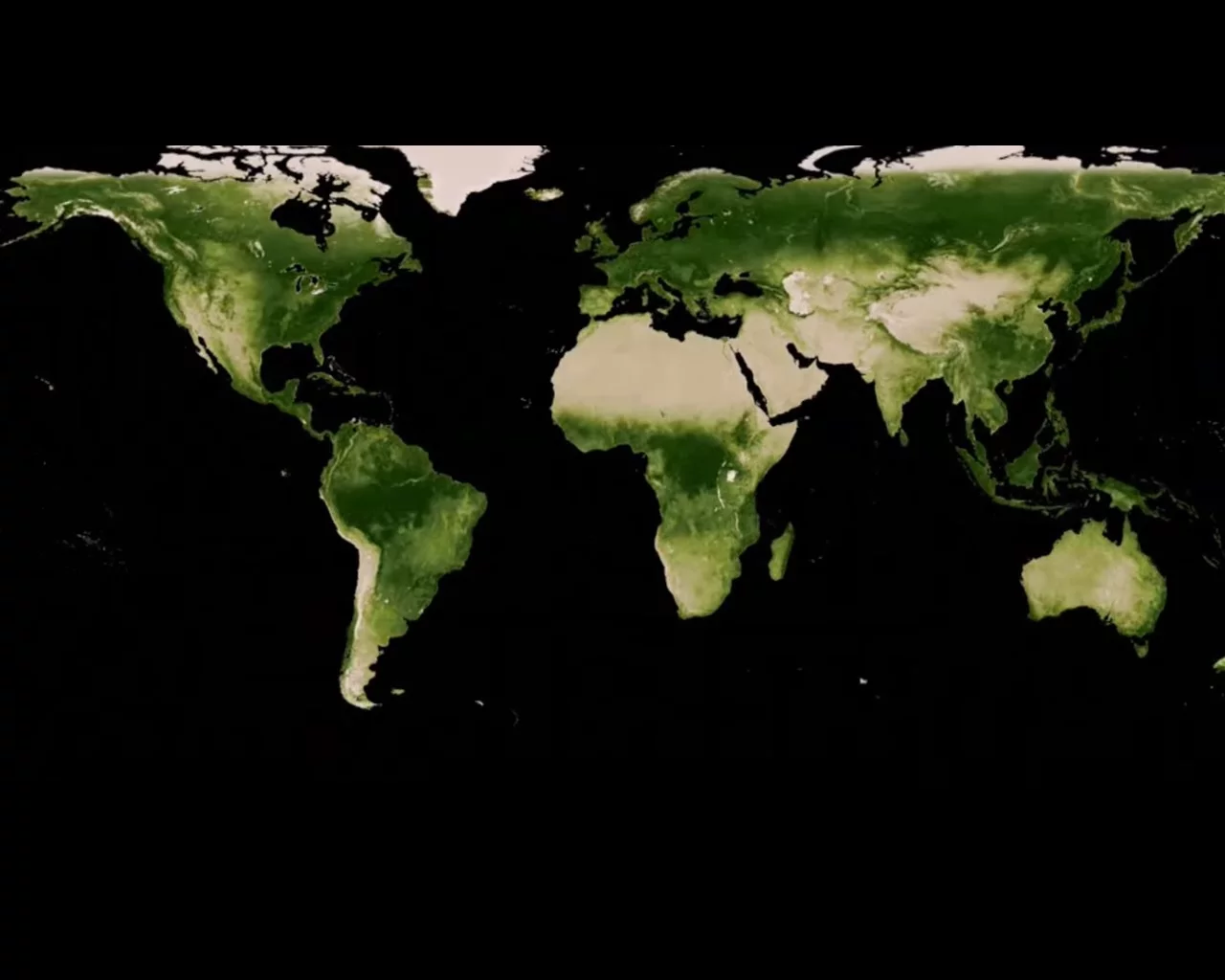 The increase in leaf coverage on the Earth in the past 35 years is equivalent to an area twice the size of the continental United States
