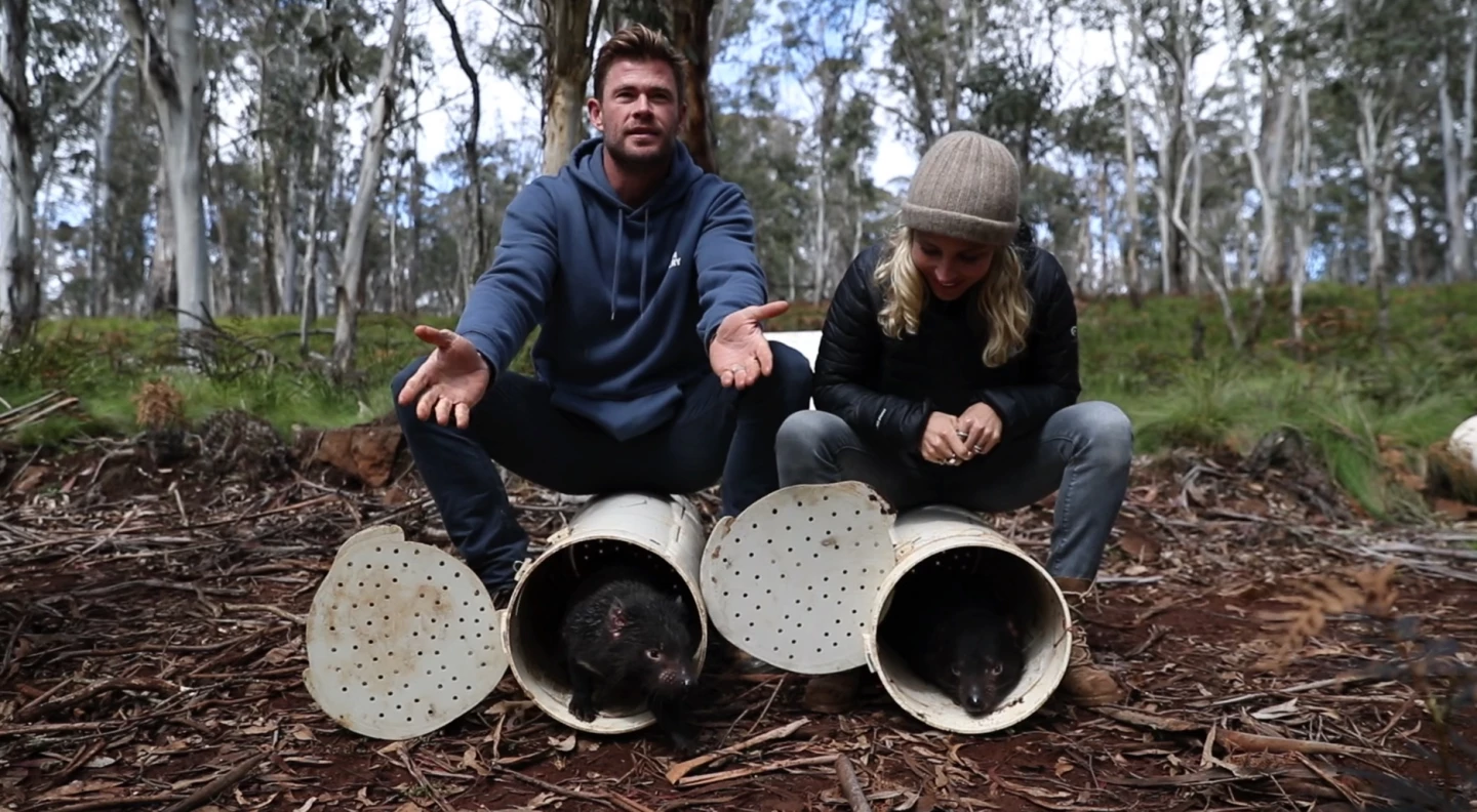 Actors Chris Hemsworth and Elsa Pataky help with the release of the Tasmanian devils