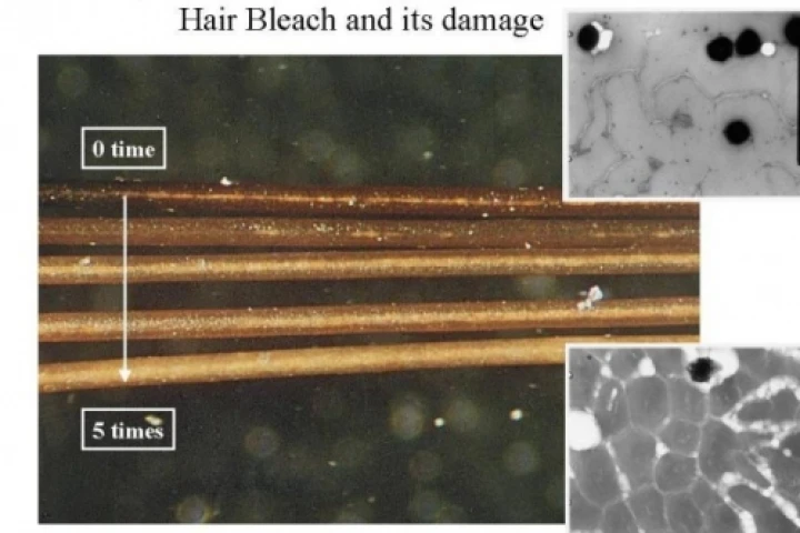 Showing effects of damage to hair by regular bleach.