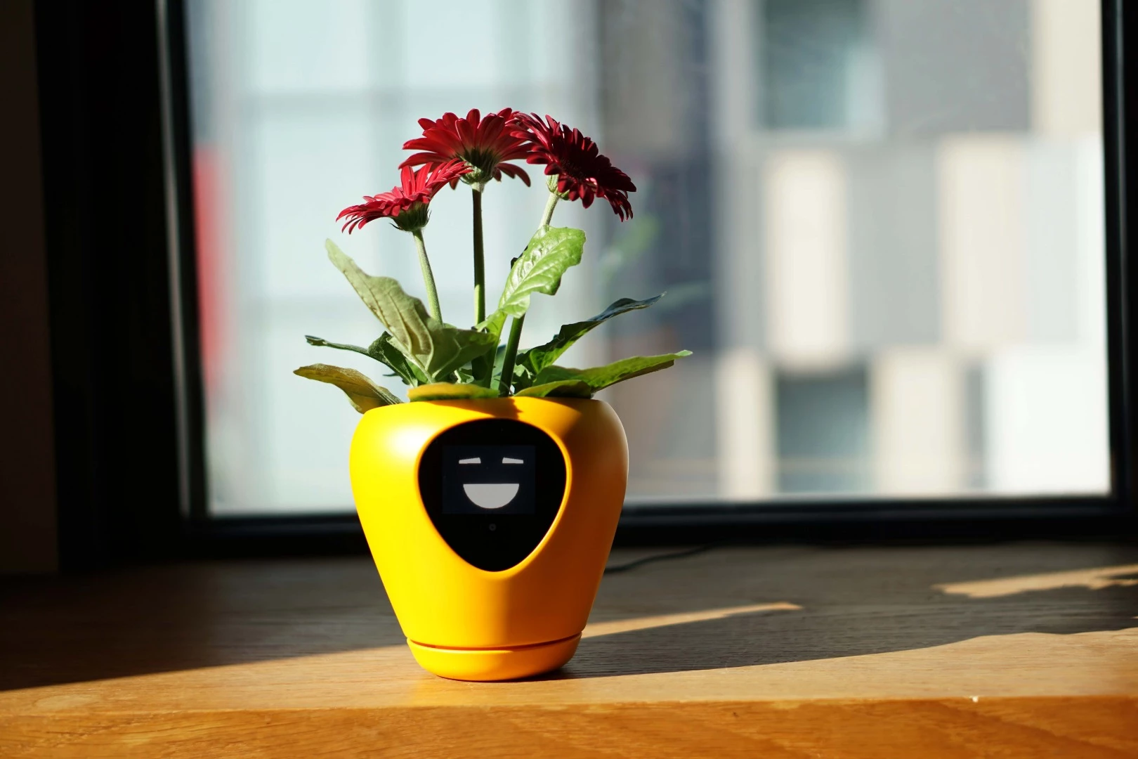 Lua is 5.9 inches in diameter and 6.3 inches tall (15 x 16 cm), weighs 17.6 oz (500 g), sits in its own saucer and is powered over USB