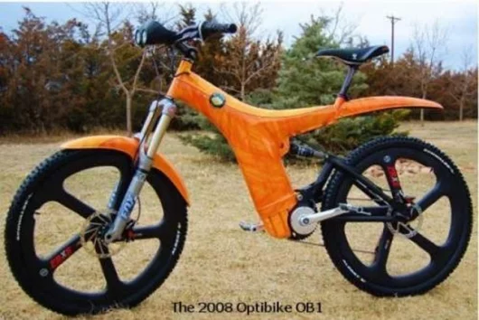 2008 Optibike OB1