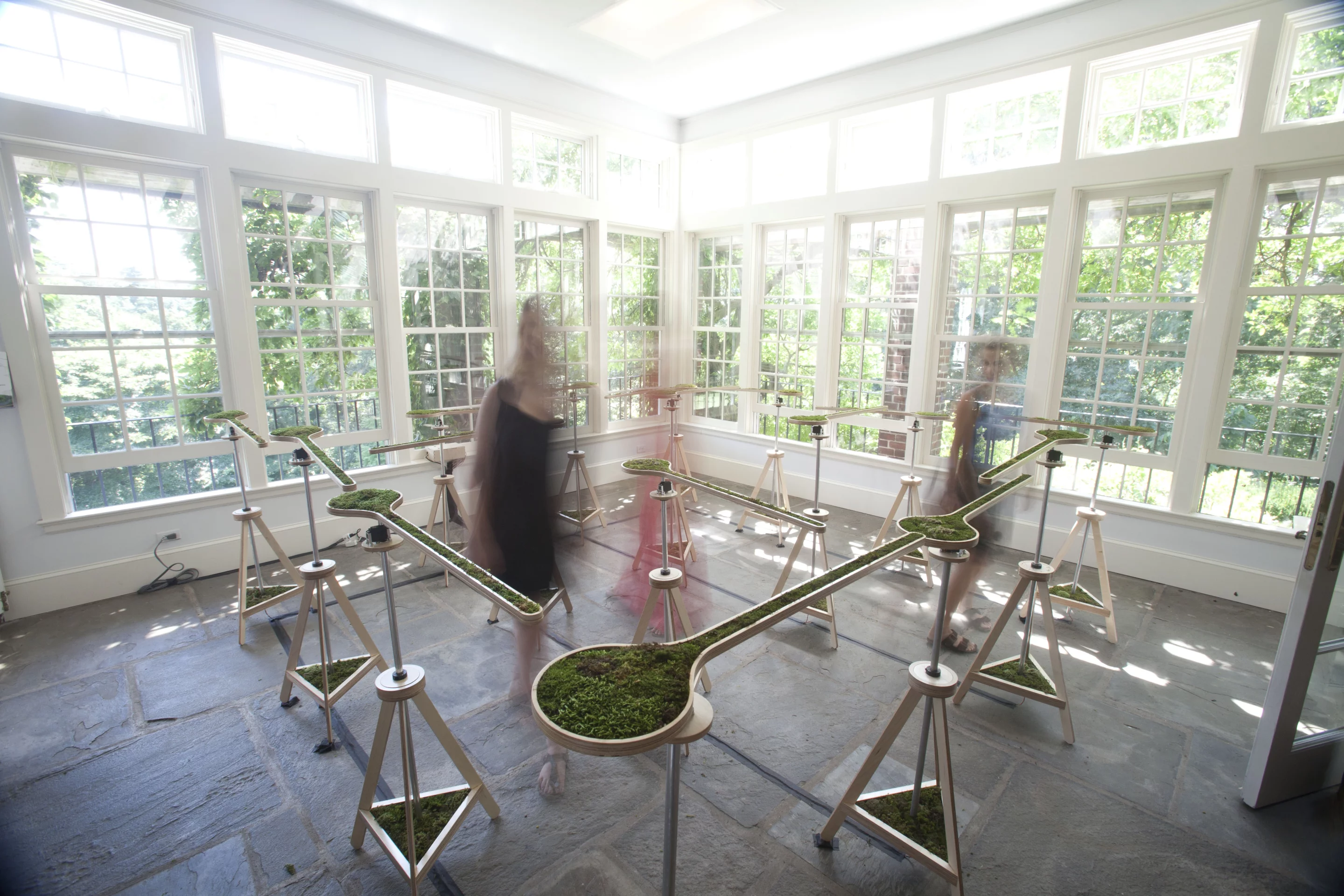 "Landscape Abbreviated" by Nova Jiang