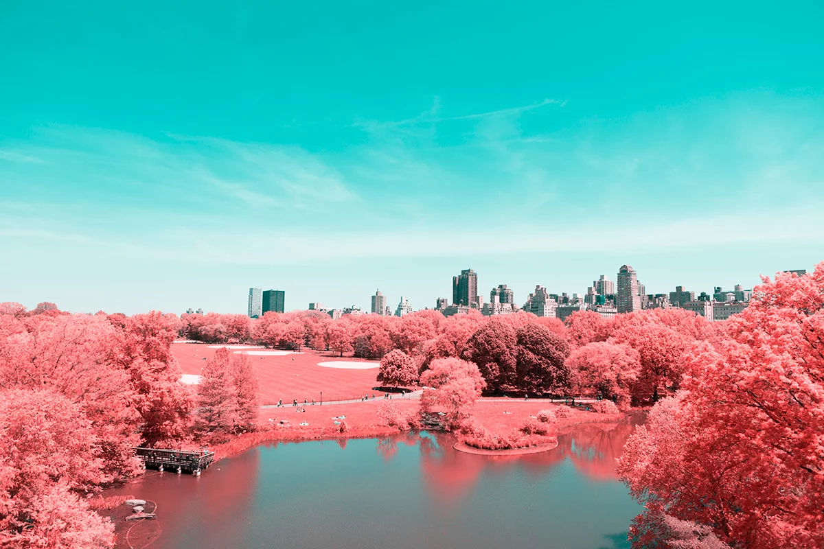 Paolo Pettigiani's series Infrared NYC is a glorious examination of New York's Central Park that uses infrared filters to transform the greenery into a pink and red wonderland