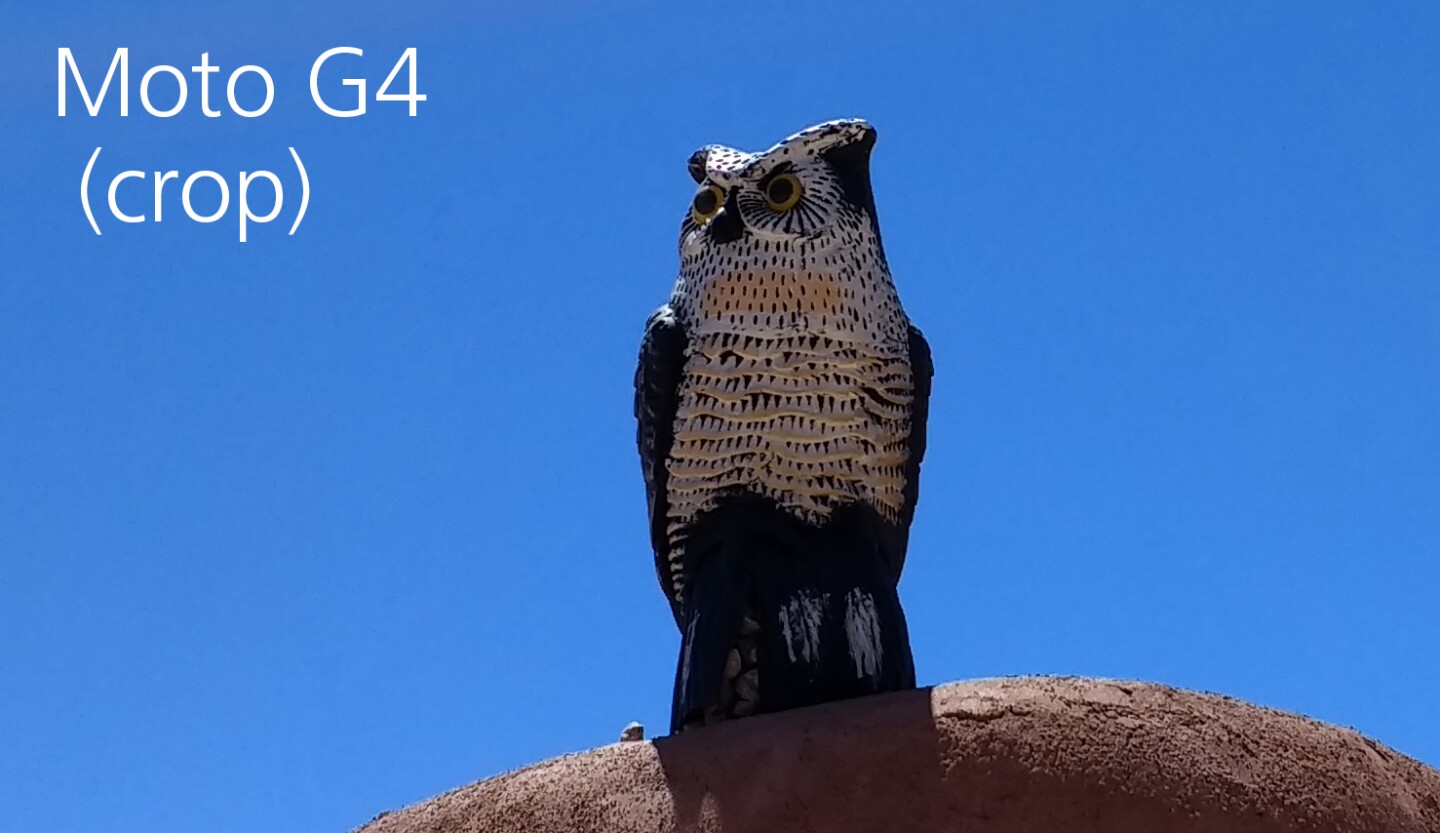 Moto G4 camera sample (outdoors, brightly lit) - cropped
