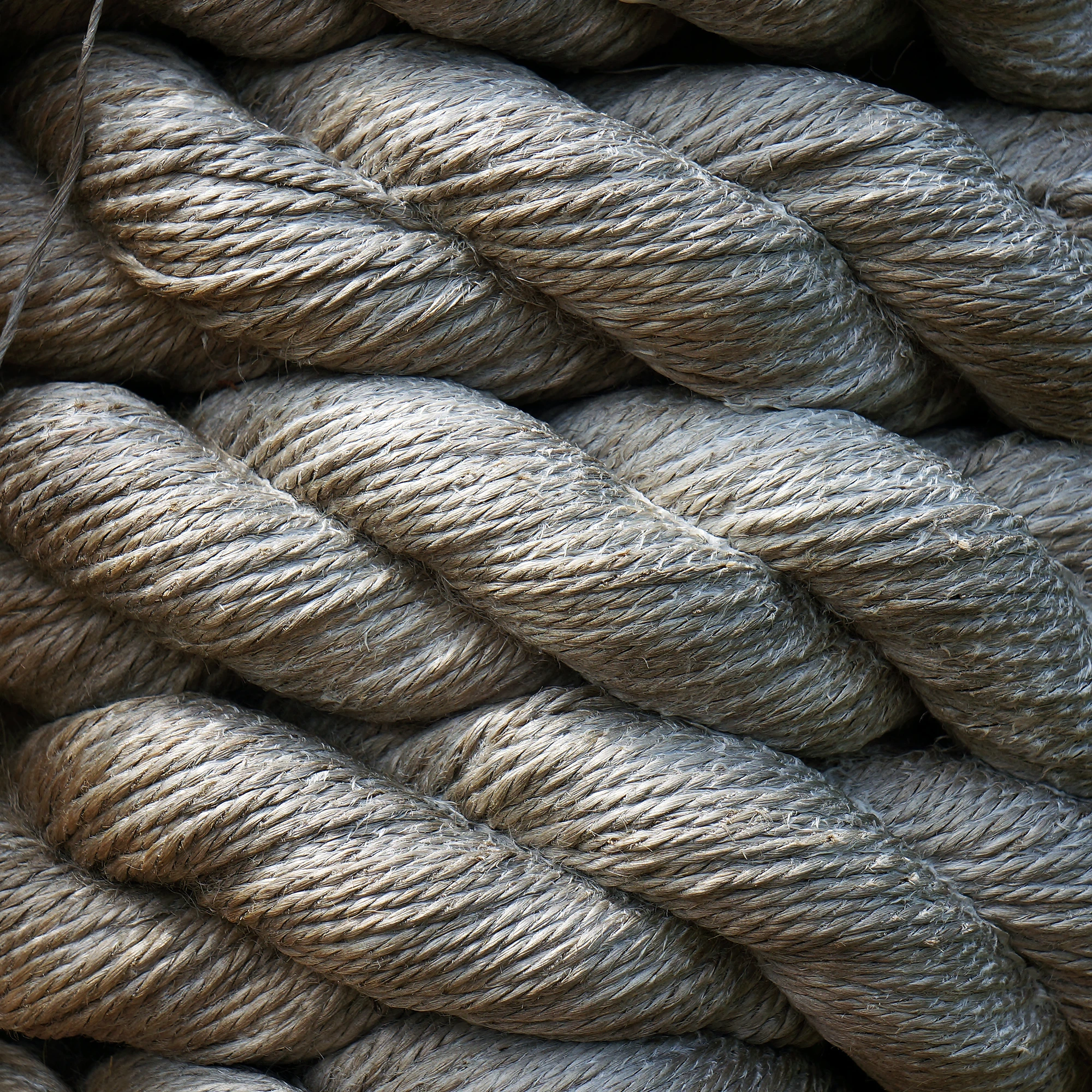 Researchers have developed a high-performance electrode material for supercapacitors from hemp inner bark fibers (Photo: Shutterstock)