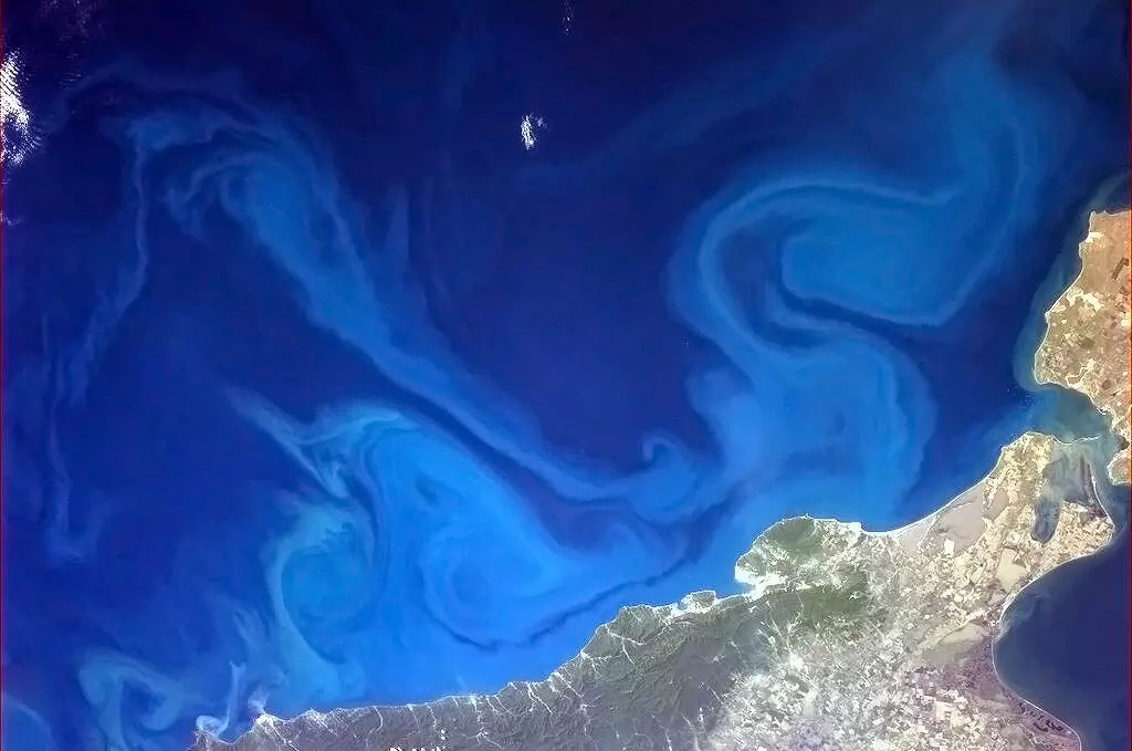Hadfield: "Dr. Seuss-inspired swirls in the Black Sea" (Photo: Chris Hadfield/NASA)