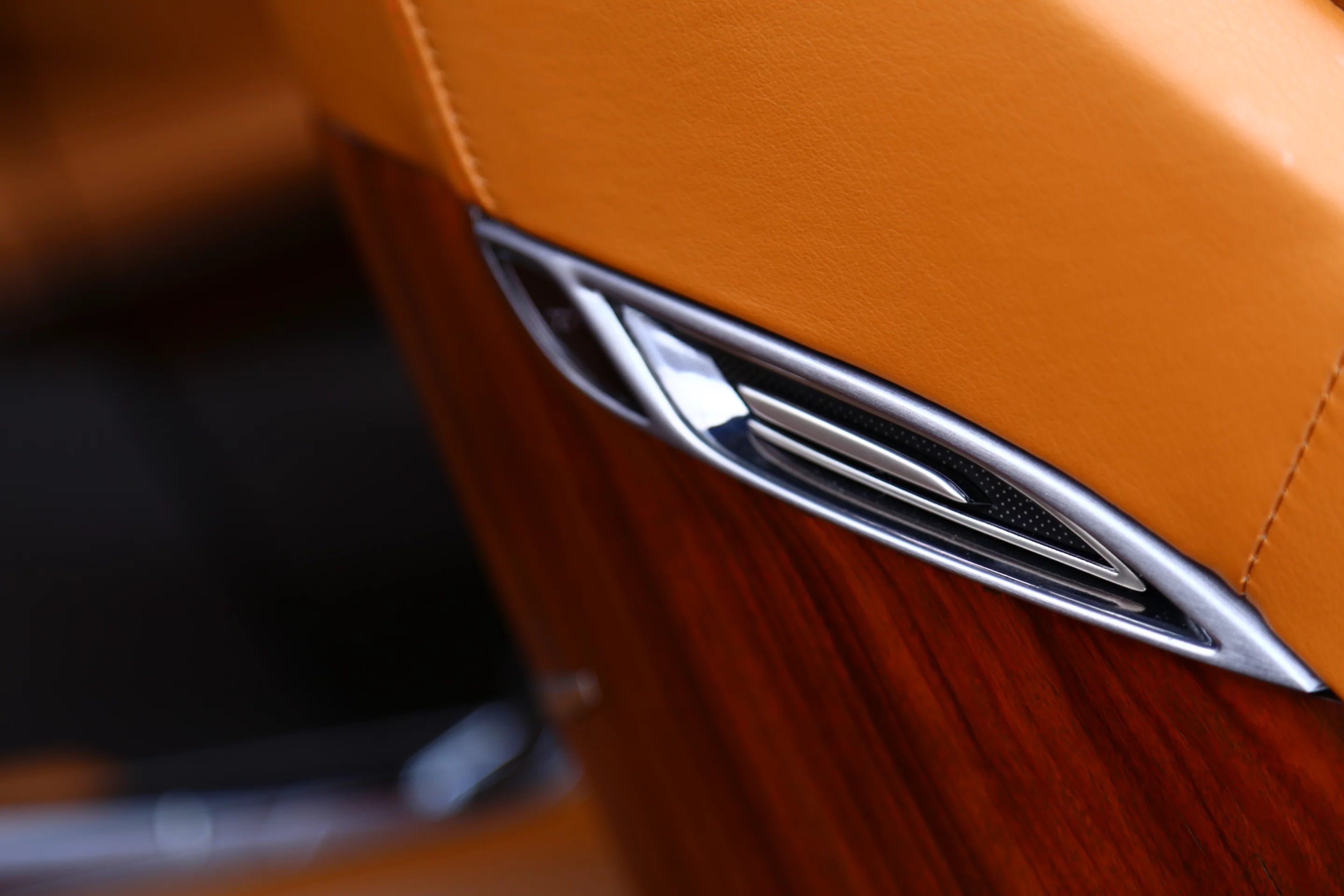 The Elmiraj features camel leathers and handpicked fallen Brazilian Rosewood for the woody bits (Photo: Angus MacKenzie/Gizmag.com)