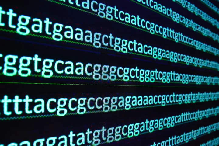 Researchers have discovered a species of yeast that breaks a "universal rule" of DNA