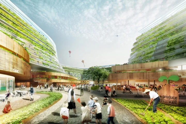 Homefarm is a concept that mixes accommodation for seniors with an urban farm run, in part, by its retiree residents (Image: Spark)