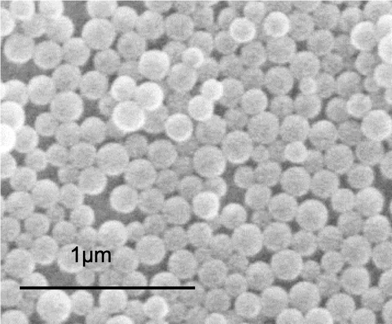 A scanning electron micrograph of the nanosphere monolayer shows almost perfectly round particles of uniform size.