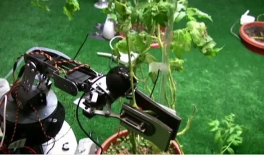 Picking fruit 21st century style