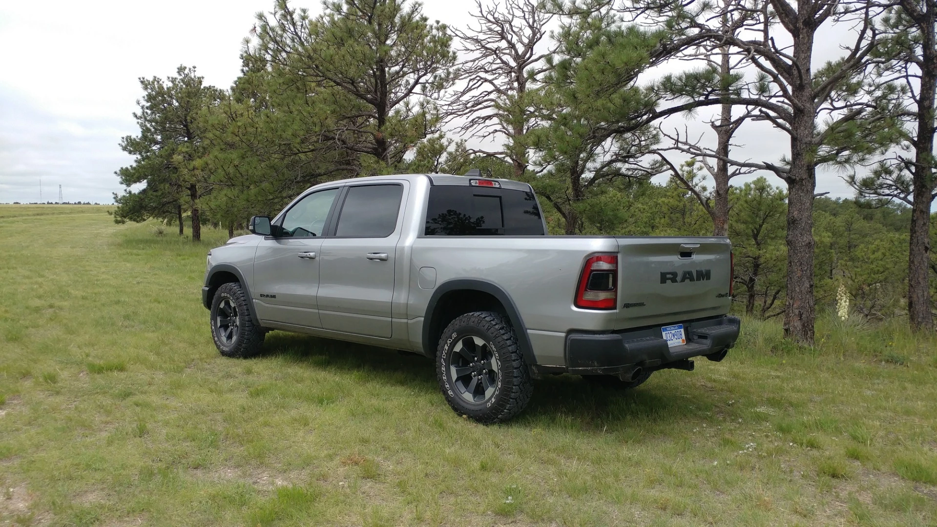 The Crew Cab model (shown) has the shorter cargo bed while the Quad Cab (smaller rear doors) has a longer bed to retain the wheelbase for the Rebel