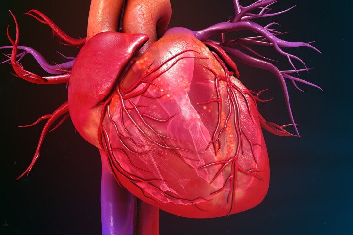 Transcription factors delivered via mRNA have been shown to help regenerate heart cells after a heart attack