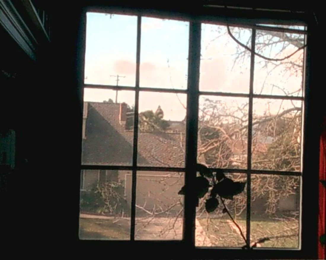 Although photos taken by the Axis Drones Vidius may not be print-worthy, the good ones are certainly fun to share via social media