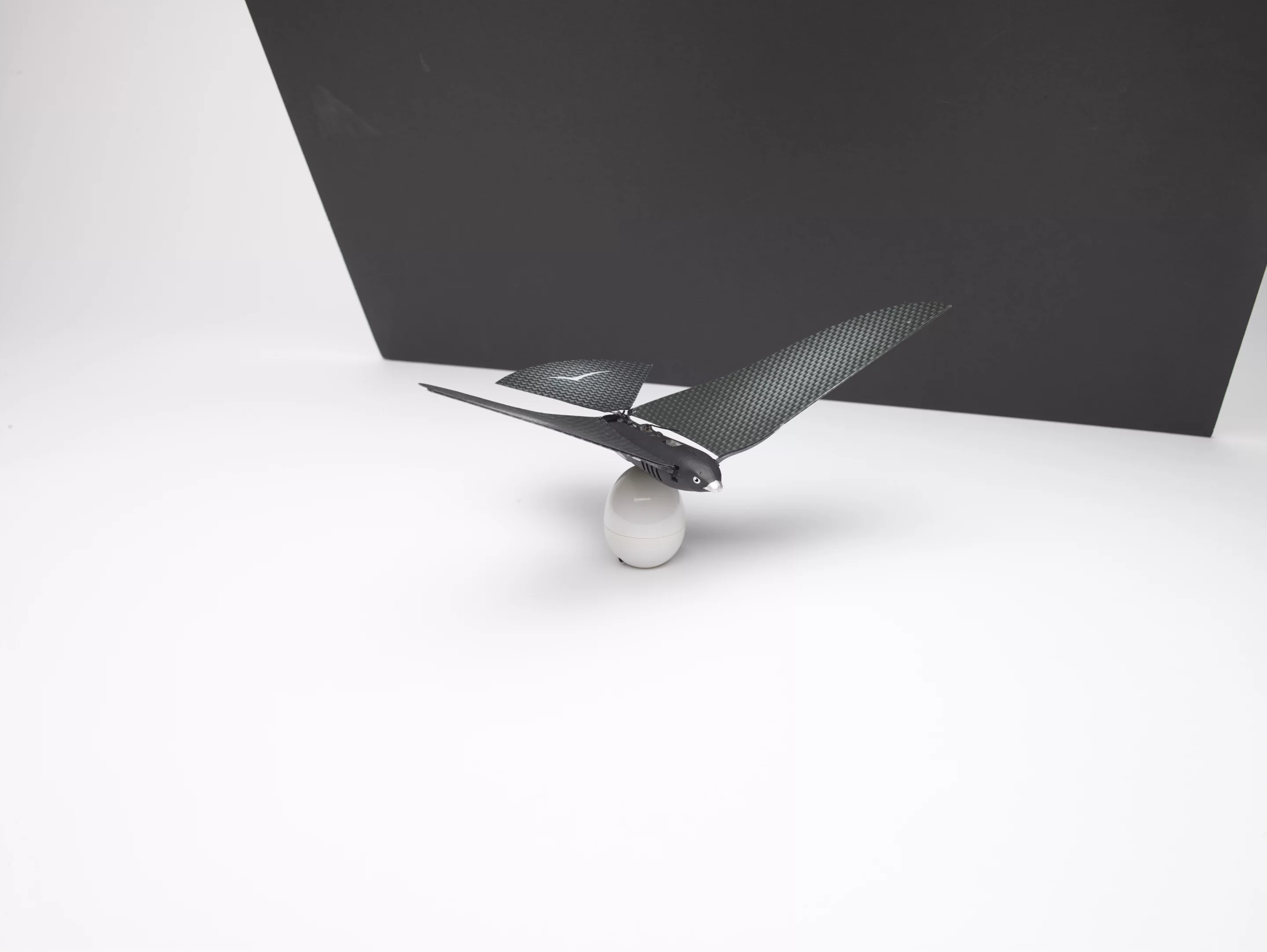 The portable egg charger stores enough energy for ten flights