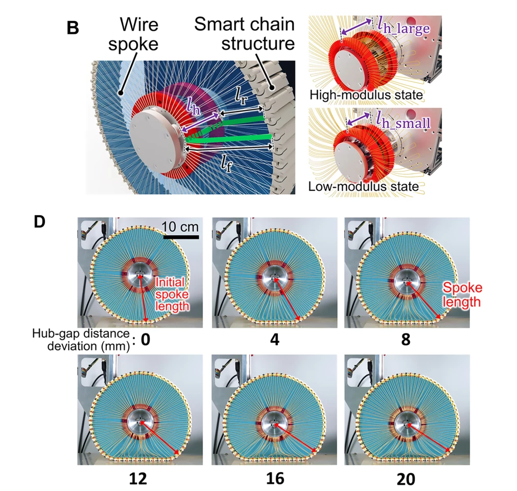 B. illustrates the wire spoke and smart chain structure; D. shows what happens to the wheel's form when the hub-gap is altered
